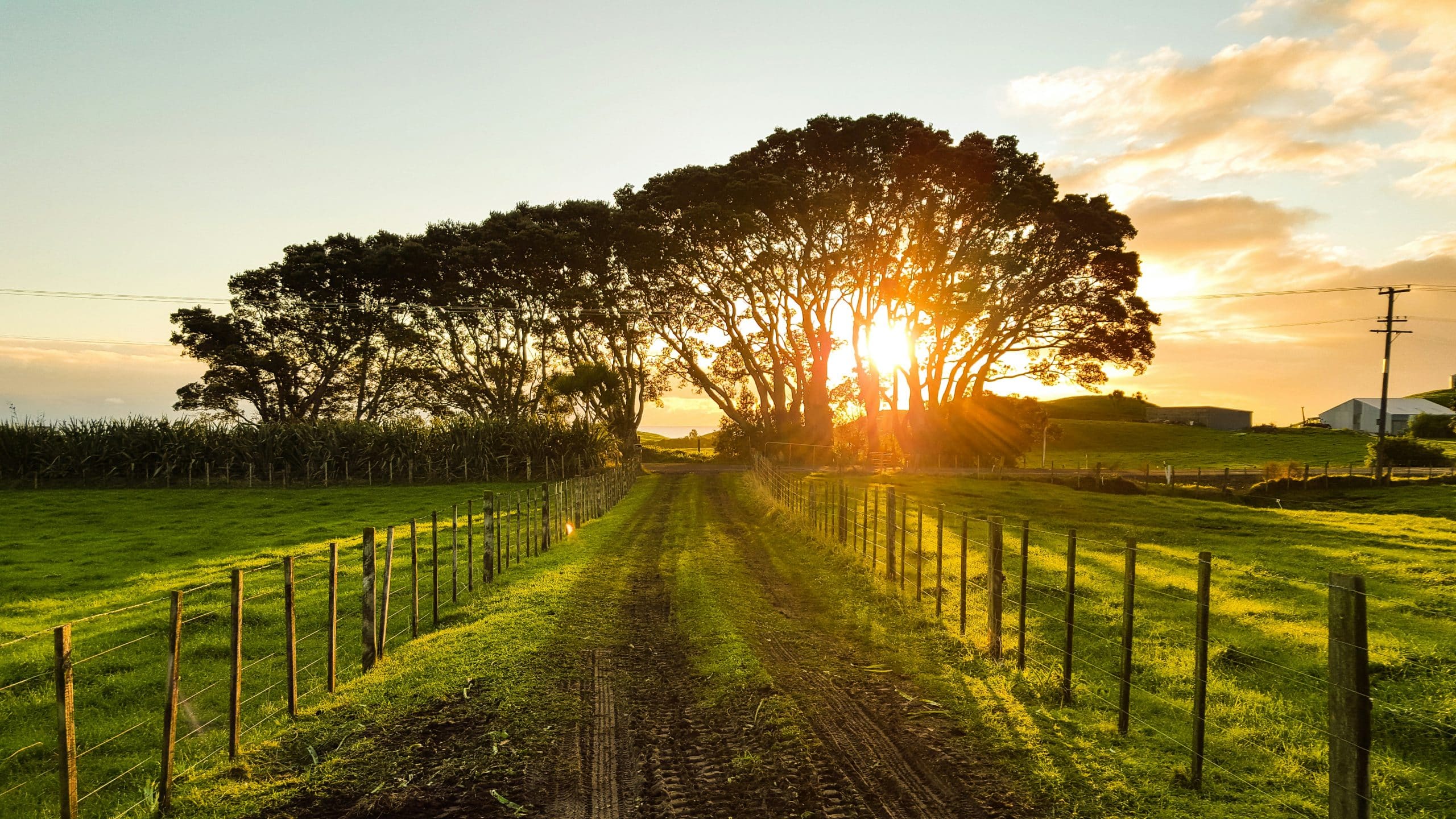 Select Buying an Acreage: 6 Expert Considerations to Ensure a Rewarding Rural Lifestyle Buying an Acreage: 6 Expert Considerations to Ensure a Rewarding Rural Lifestyle