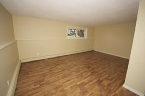 Fourplex Unit 4 Livingroom